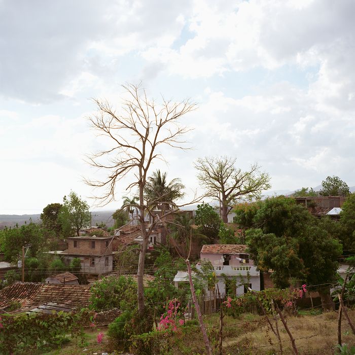 Kuba, Gärten in Trinidad