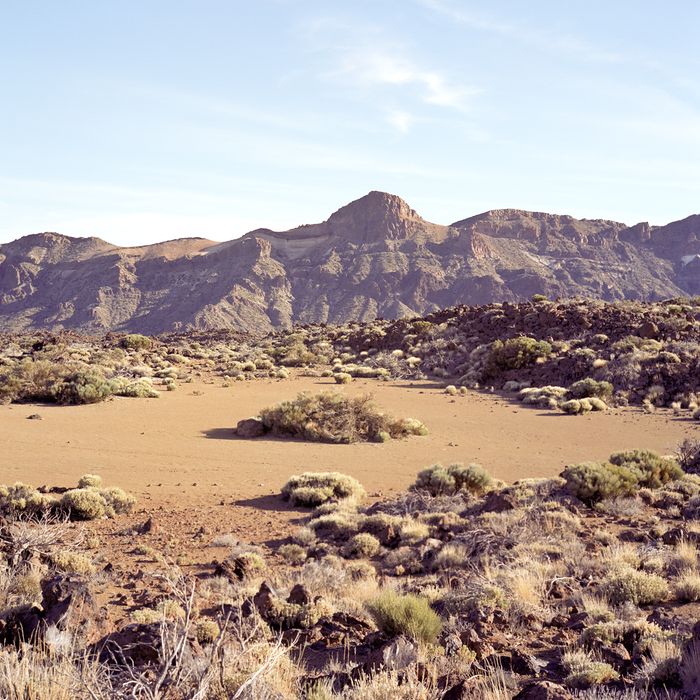 Teneriffa, Parque Nacional del Teide