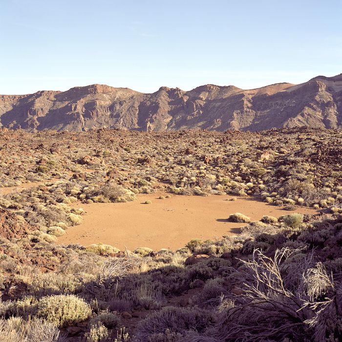 Teneriffa, Parque Nacional del Teide